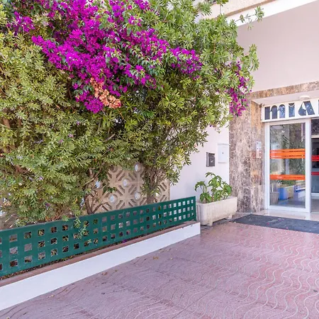 Daire Basic Comfort Miami 7º 0111 *